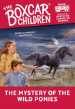The Mystery of the Wild Ponies by Warner, Gertrude Chandler