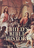 Child's Bible History by Knecht, Frederick Justus