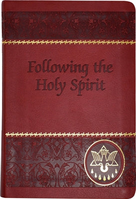 Following the Holy Spirit: Dialogues, Prayers, and Devotions Intended to Help Everyone Know, Love, and Follow the Holy Spirit by Van De Putte, Walter