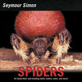 Spiders by Simon, Seymour