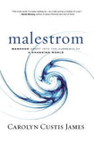 Malestrom: Manhood Swept Into the Currents of a Changing World by James, Carolyn Custis