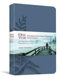 The One Year Experiencing God's Presence Devotional: 365 Daily Encounters to Bring You Closer to Him by Tiegreen, Chris