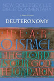 Deuteronomy: Volume 6 by Ownes, J. Edward